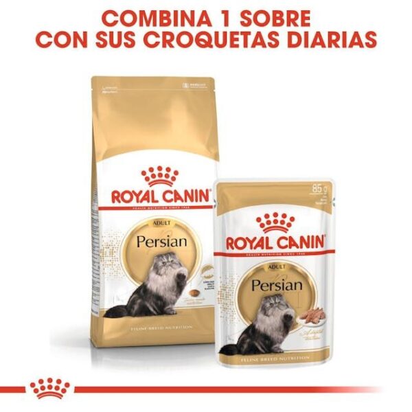 ROYAL CANIN Persian 0,4 kg - Imagen 4