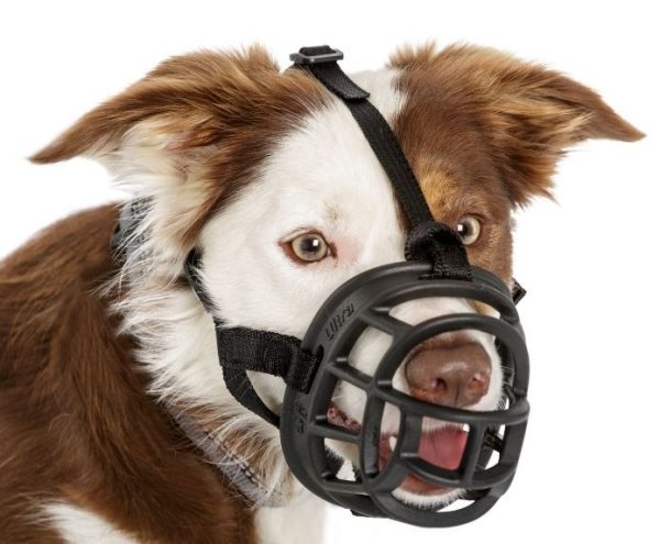 BOZAL BASKERVILLE ULTRA MUZZLE NEGRO TALLA 6 - Imagen 9