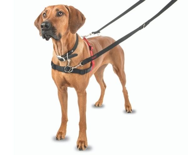 ARNÉS PERRO HALTI TALLA S 30-60cm PECHO - Imagen 8