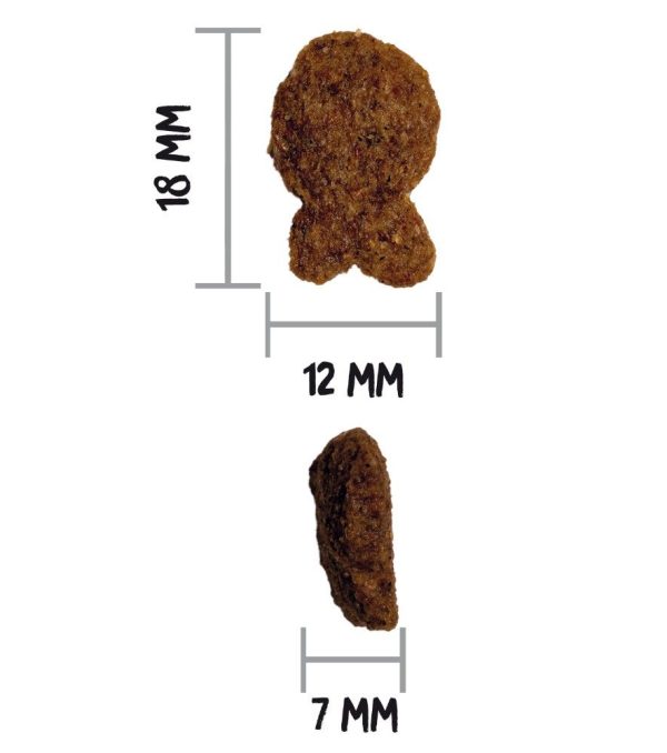 OWNAT CLASSIC FISH DOG 4kg - Imagen 2