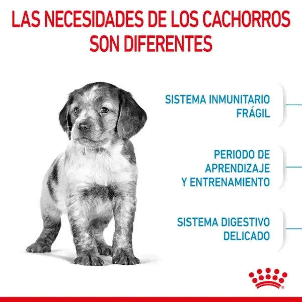 ROYAL CANIN Medium Puppy 15 kg - Imagen 3