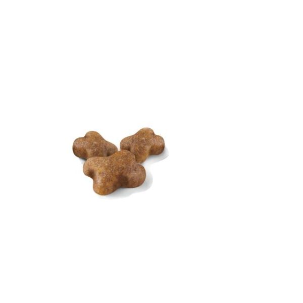ROYAL CANIN Kitten 10 kg - Imagen 3