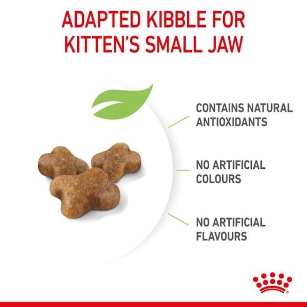 ROYAL CANIN Kitten 10 kg - Imagen 5