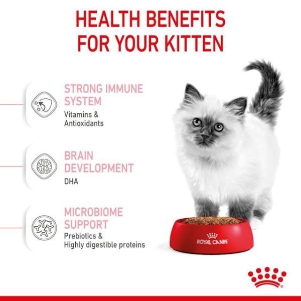 ROYAL CANIN Kitten 10 kg - Imagen 6