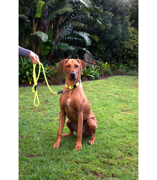 ROGZ CORREA ROPE 12MM HLLR12-B - Imagen 2