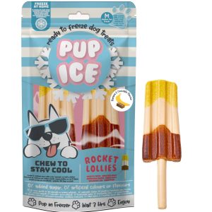PUP ICE 2 POLOS CHOCO.&PLATANO 90gr