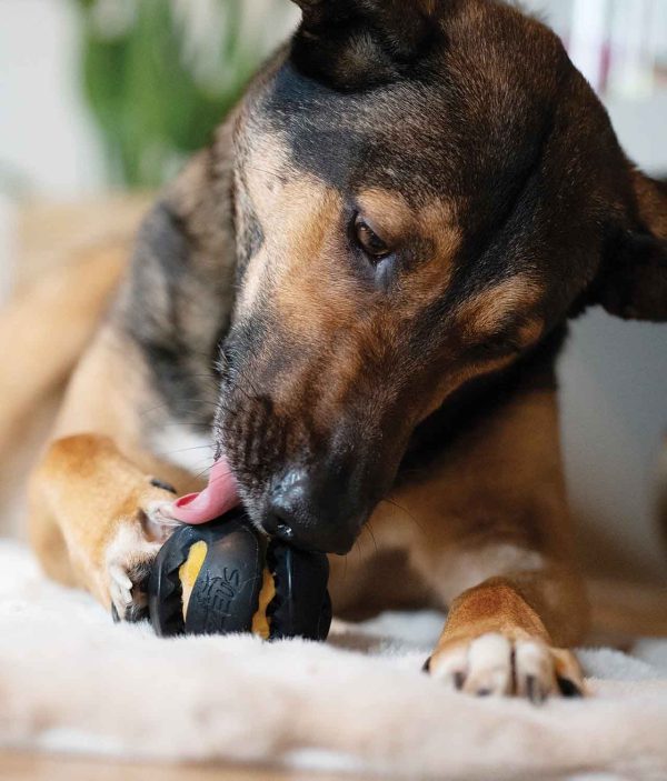 Zeus ChewChasers Pelota, Ø7,5cm - Imagen 5