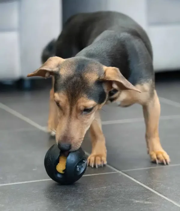 Zeus ChewChasers Pelota, Ø7,5cm - Imagen 7