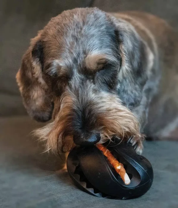 Zeus ChewChasers Pelota de Rugby, 12,5cm - Imagen 5