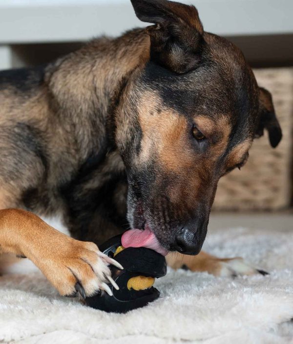 Zeus ChewChasers Pelota de Rugby, 12,5cm - Imagen 6