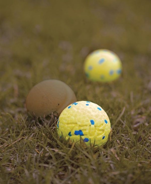 Zeus Nitro™ Bola Lastrada, M, Ø6,3cm - Imagen 13