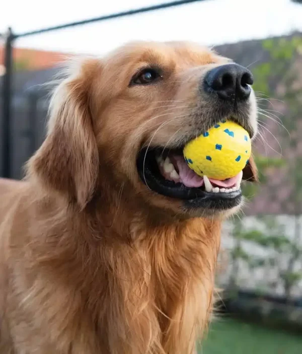 Zeus Nitro™ Bola Lastrada, S, Ø5cm - Imagen 8