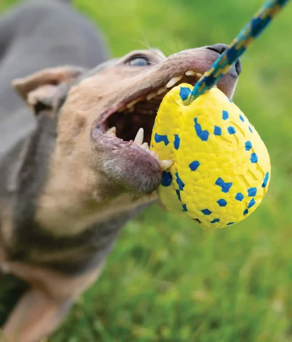 Zeus Nitro Pelota con Cuerda ligera y resistente con núcleo de goma - Imagen 4