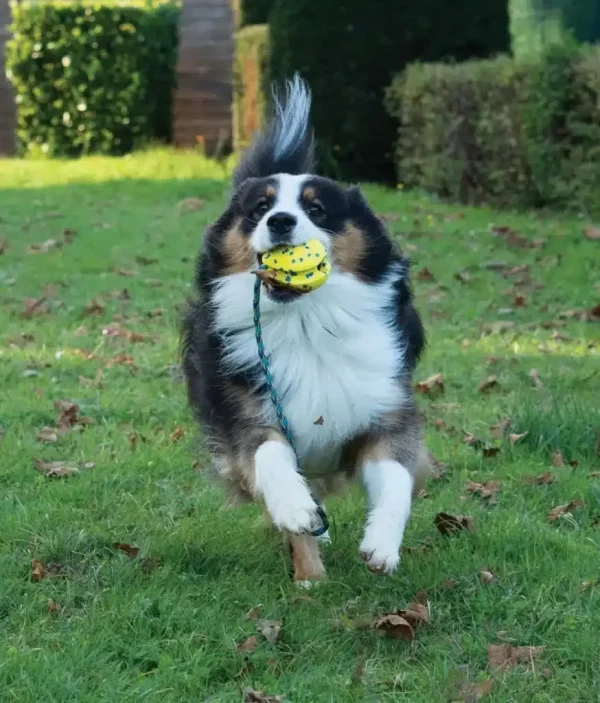 Zeus Nitro Pelota con Cuerda ligera y resistente con núcleo de goma - Imagen 3