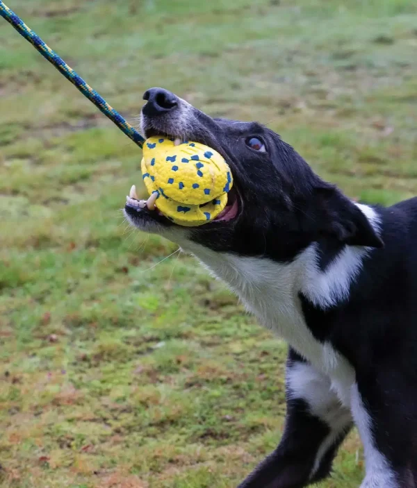 Zeus Nitro Pelota con Cuerda ligera y resistente con núcleo de goma - Imagen 5