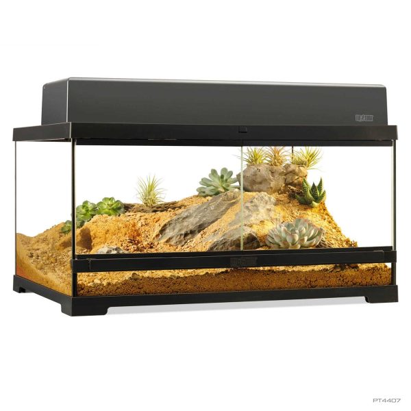 Exo Terra Terrario Cristal Pro Medio Bajo 60x45x30cm PT4407 - Imagen 4