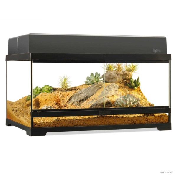 Exo Terra Terrario Cristal Pro Medio Bajo 60x45x30cm PT4407 - Imagen 5