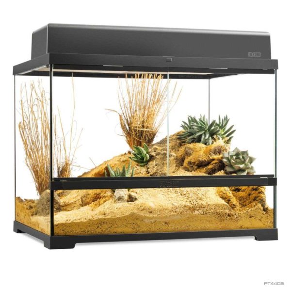 Exo Terra Terrario Cristal Pro Medio Ancho 60x45x45cm PT4408 - Imagen 3
