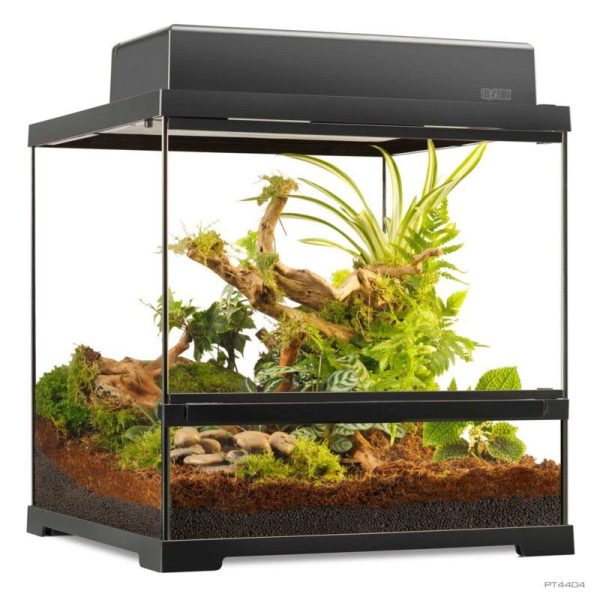 Exo Terra Terrario Cristal Pro Pequeño Ancho 45x45x45cm PT4404 - Imagen 3