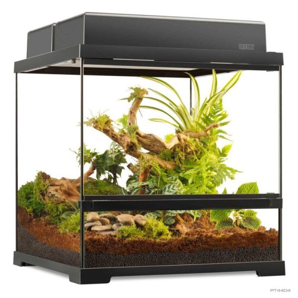 Exo Terra Terrario Cristal Pro Pequeño Ancho 45x45x45cm PT4404 - Imagen 4