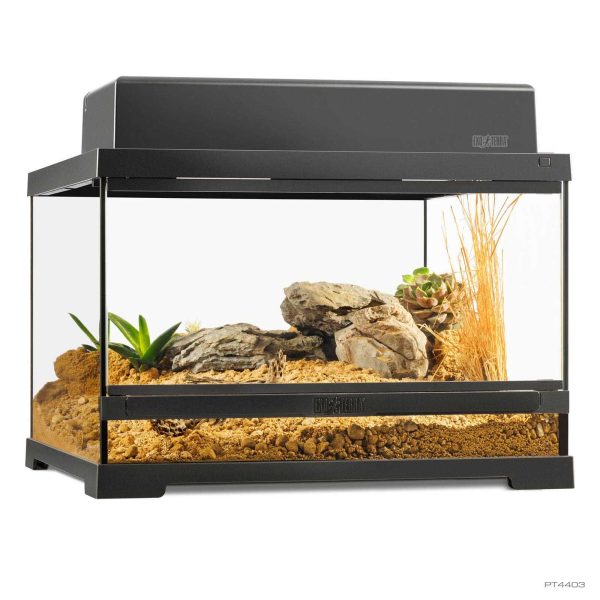 Exo Terra Terrario Cristal Pro Pequeño Bajo 45x45x30cm PT4403 - Imagen 4