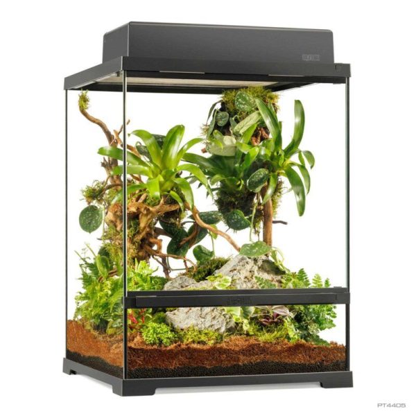 Exo Terra Terrario Cristal Pro Pequeño Alto 45x45x60cm PT4405 - Imagen 3
