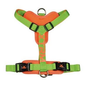 ARNES X-TRM CRONOS NEON FLASH VERDE 20mm x 46-75cm
