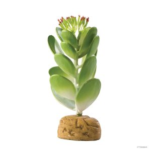 EXO TERRA CACTUS JADE PT2984
