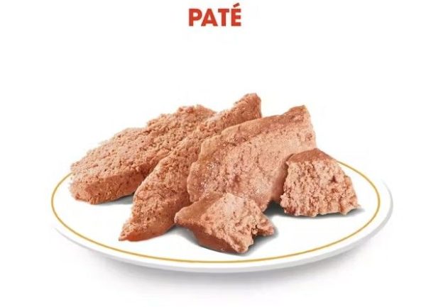 ROYAL CANIN Dachshund Adult  85 gr - Imagen 2