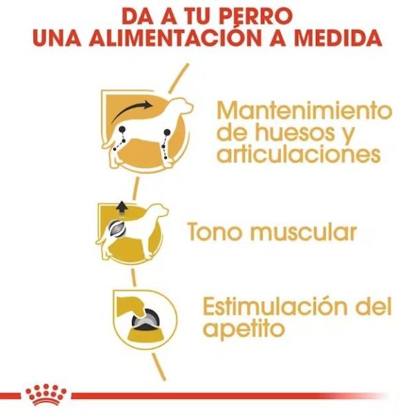 ROYAL CANIN Dachshund Adult  85 gr - Imagen 4