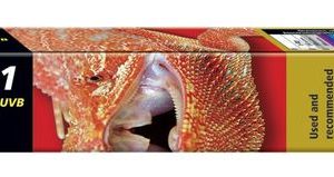 ZOOMED Reptisun 5.0 UVB 18w  60cm/26mm T8