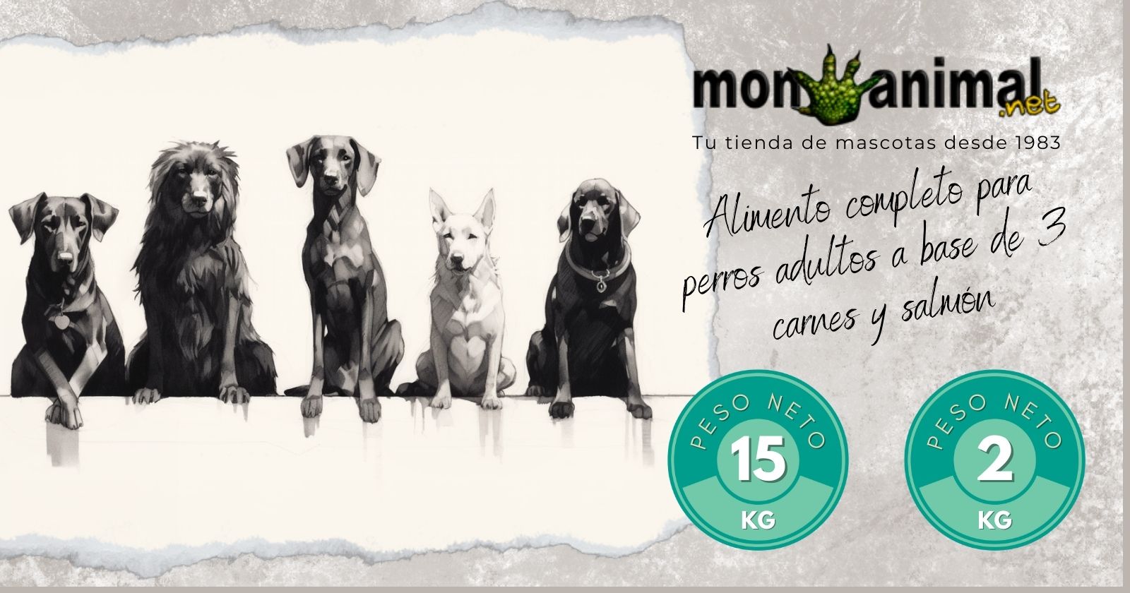 Carrusel Monanimal (3)