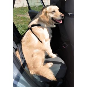 ARNES X COCHE T-S NEGRO