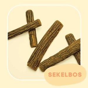 SEKELBOS WOOD M